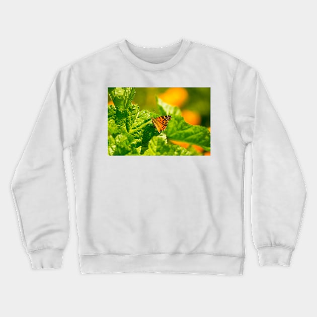 ibs butterfly monarch Crewneck Sweatshirt by pcfyi